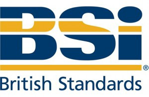 British Standards BSI Logo edited